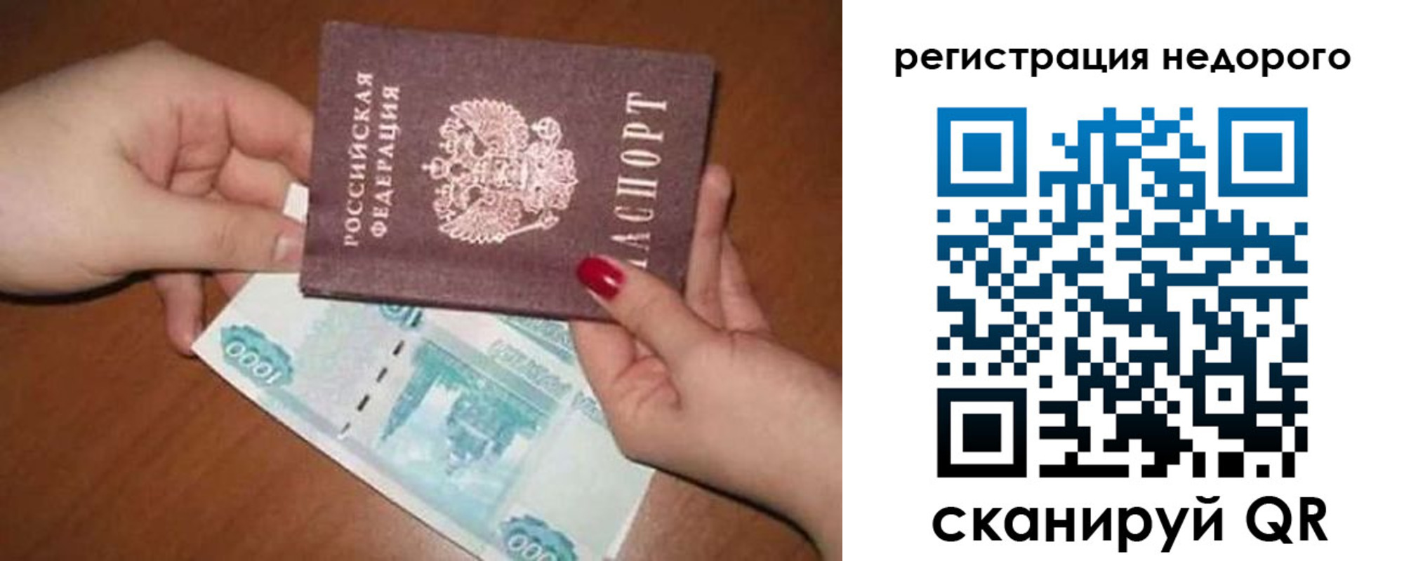 прописка гарантия в Красногорске